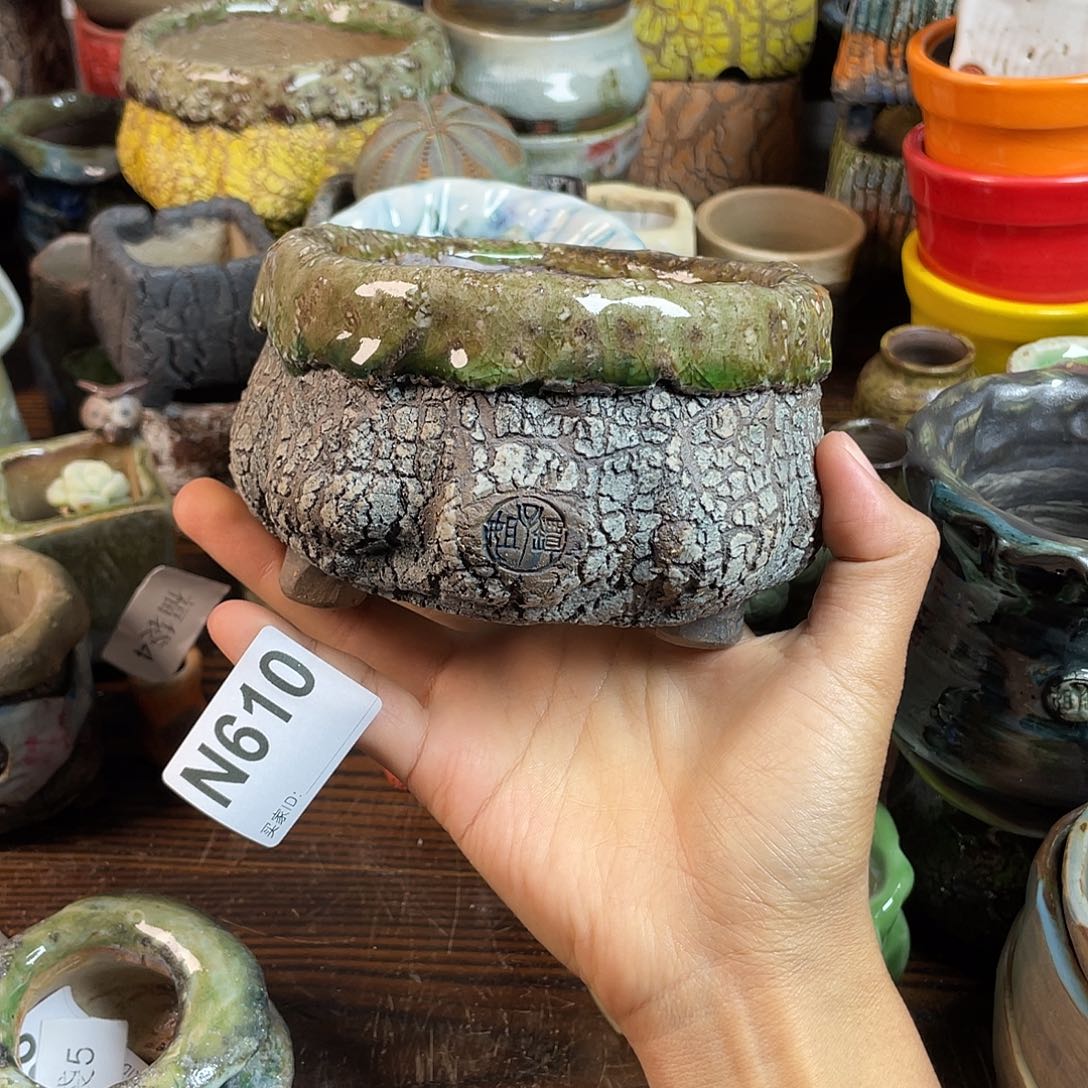 坛子姐花盆 双十二限时福利！默认微次！