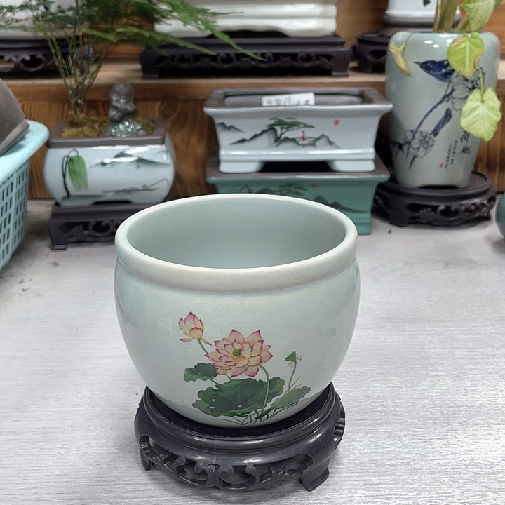 陶瓷花盆抢购福利