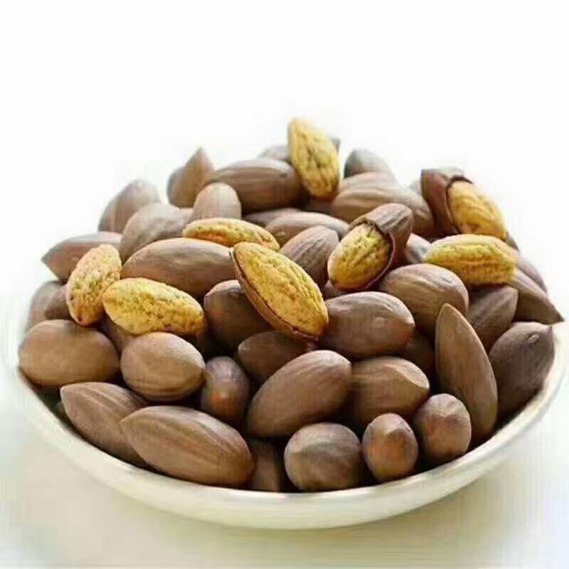 宁波宁海特产双峰香榧