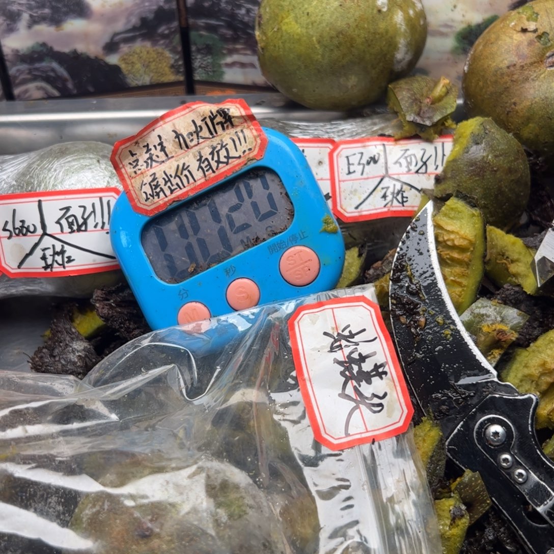 小***镇哥哈哈不不扭扭捏捏