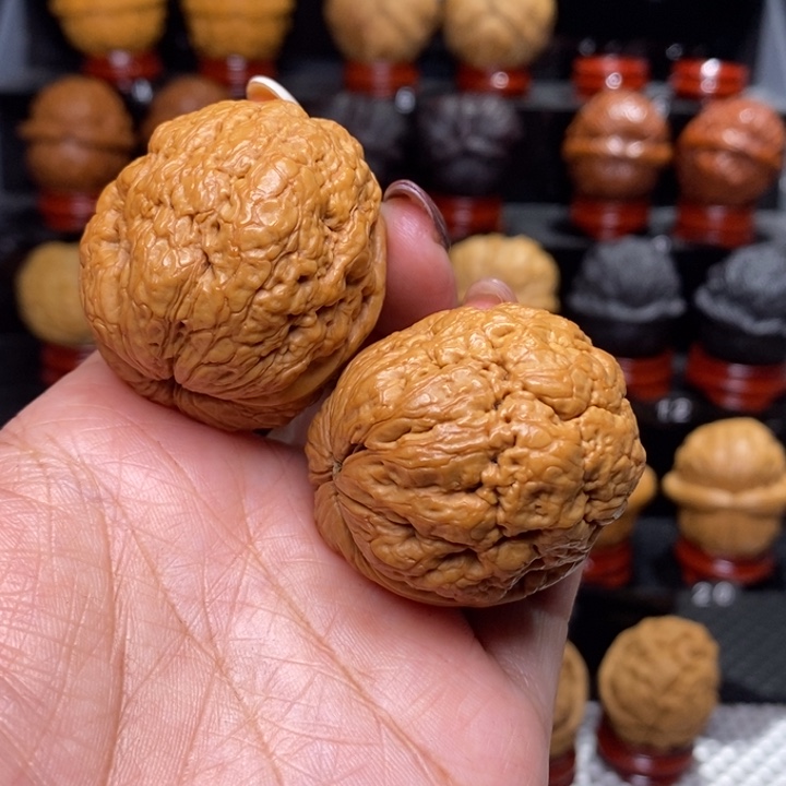 文玩核桃把件帝王蝉…………81