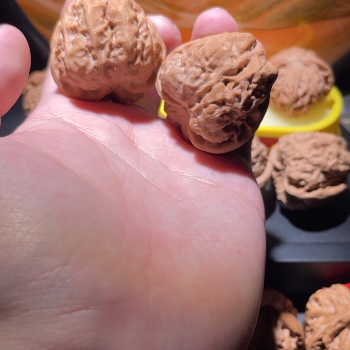 40蛤蟆头骨质好2311