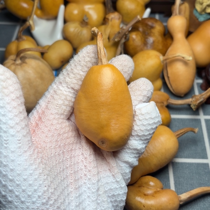 关***画风裂66666666666666