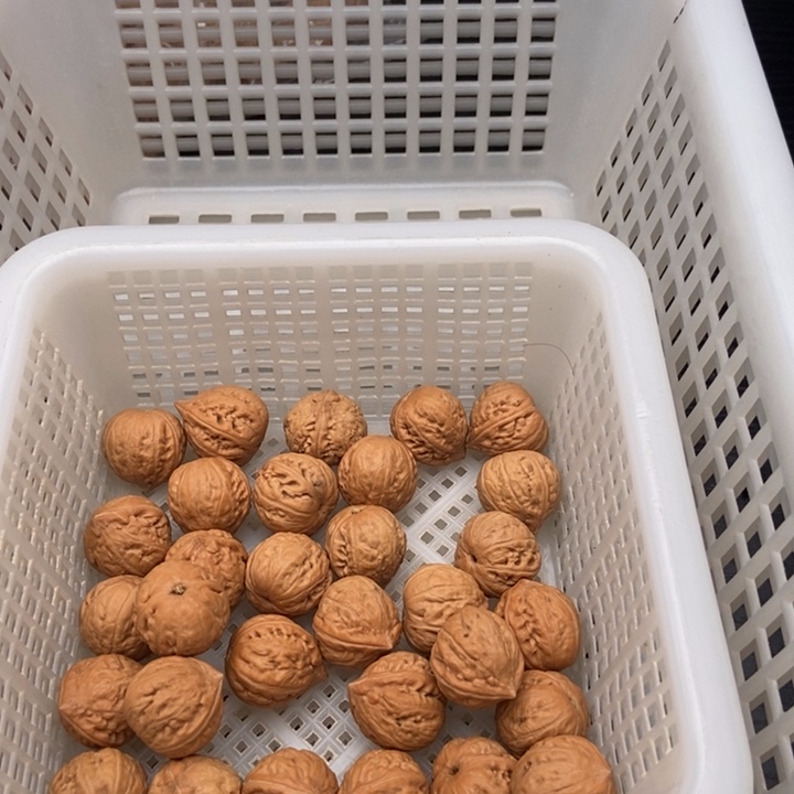 定制商品不退不换