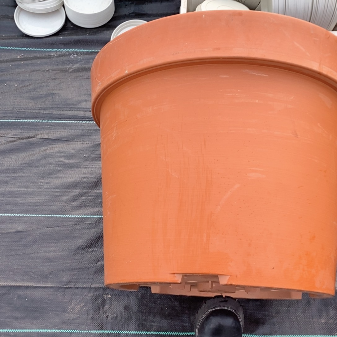 树脂海**川60口永恒盆1个瑕疵