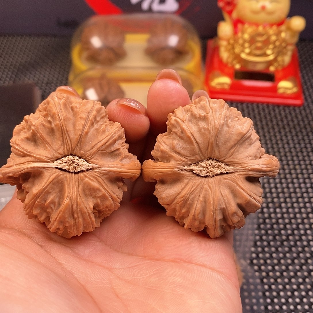 文玩核桃吊坠45尺白狮子