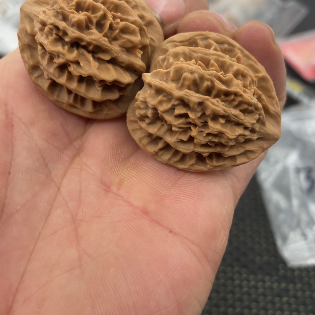 秦岭的小王核桃啊啊啊