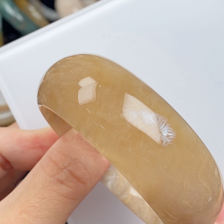 未镶嵌手镯（圆镯）硅化玉54