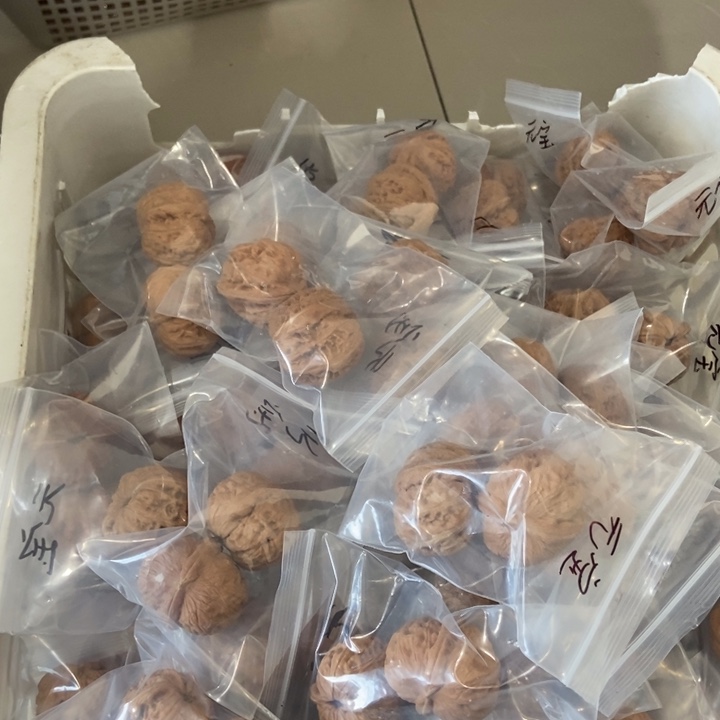 吊坠文玩核桃元宝瑕疵