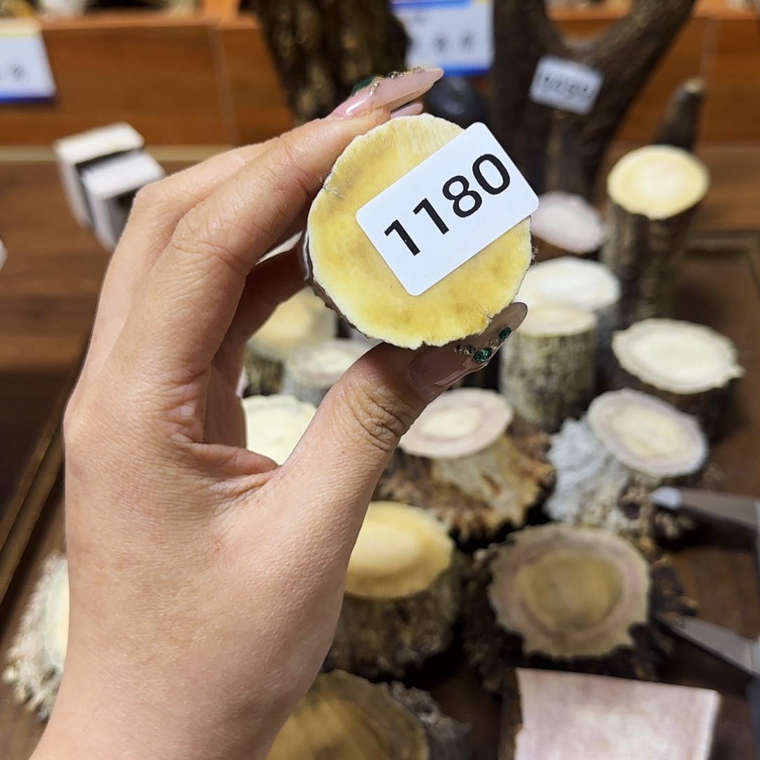 手串/手链鹿骨1180根段