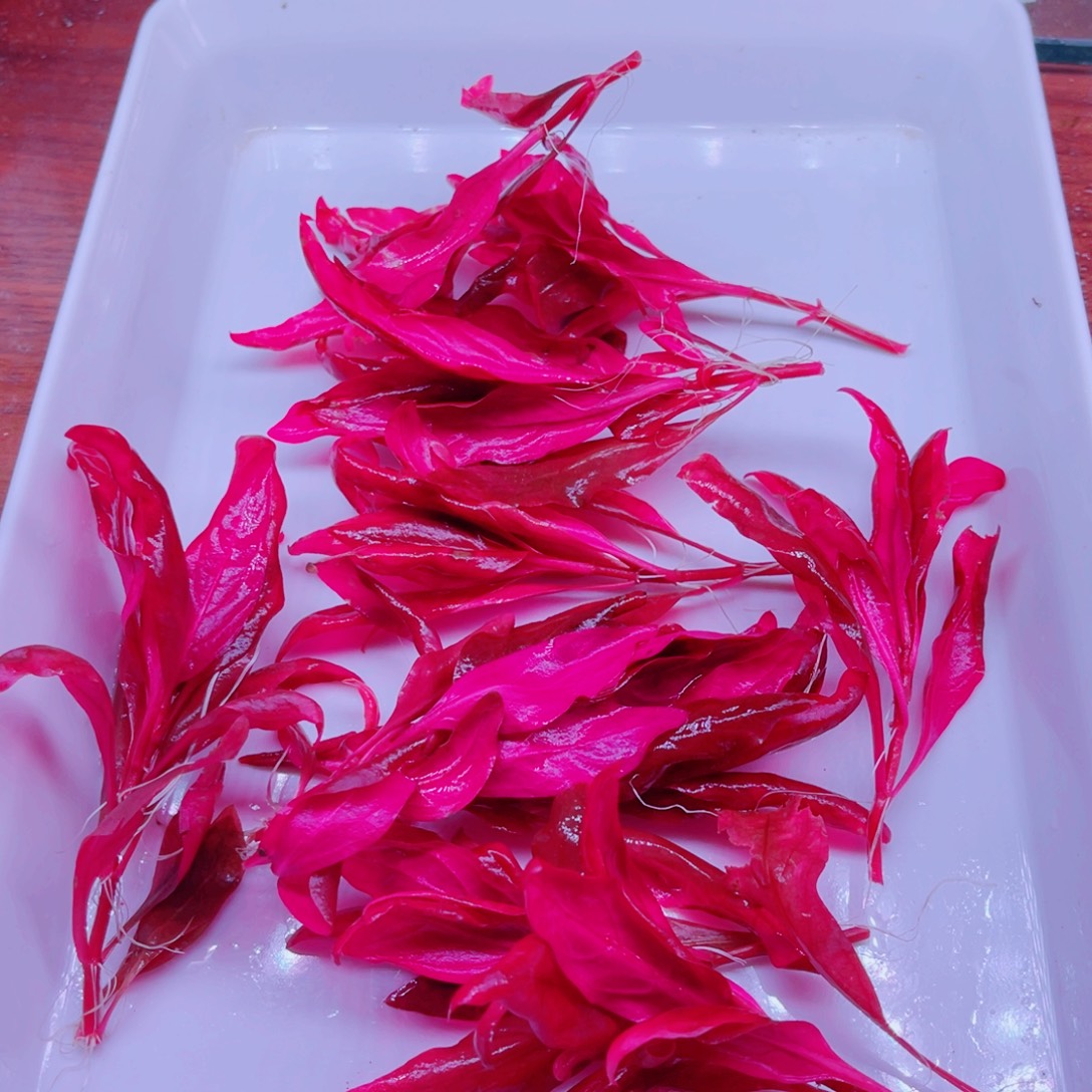 美小呆哇塞套餐一份