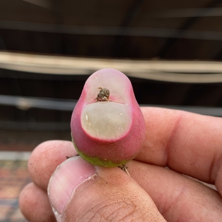 391一个一个一个