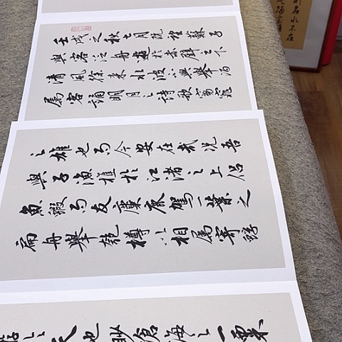 扇子前后赤壁赋行书册页作品