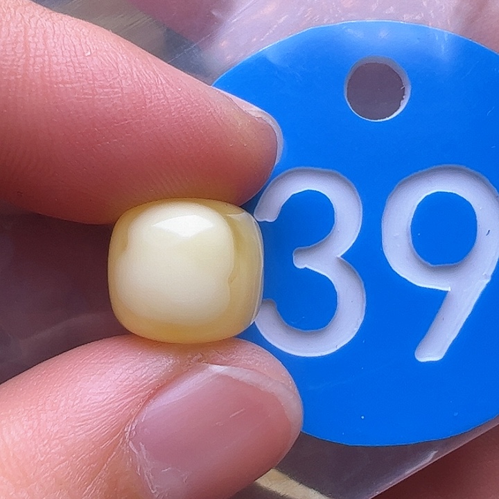 蜜蜡裸石未镶嵌11.3m m