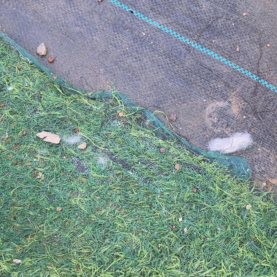 保温箱19包邮多肉