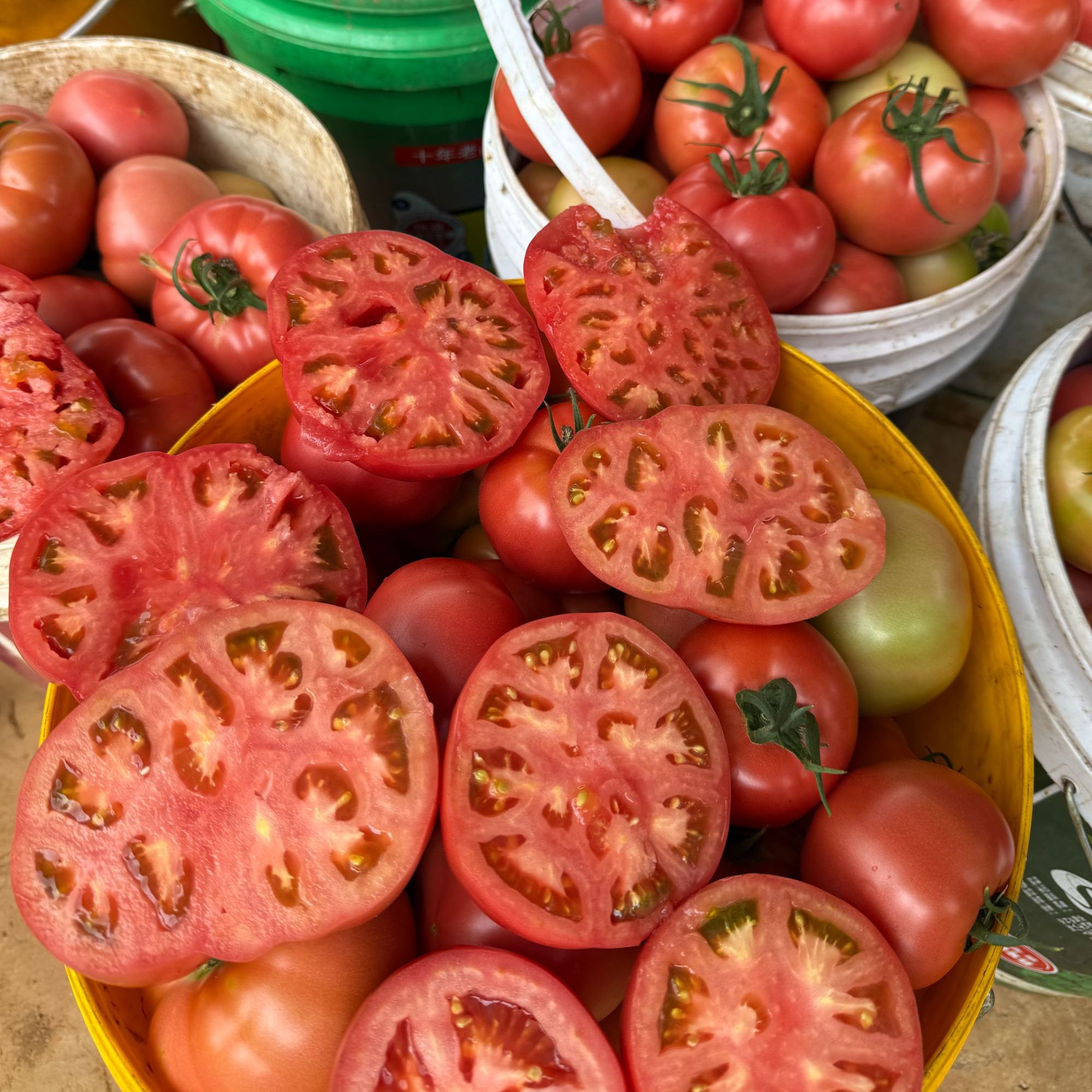 顺丰（老品种口感西红柿）老味道沙瓤西红柿新鲜果疏应季水果