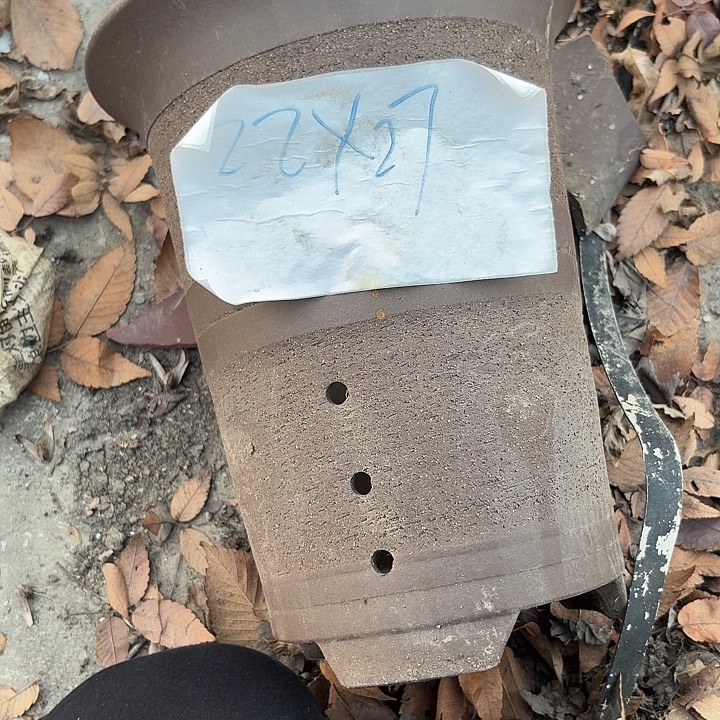 花盆紫砂11111111111