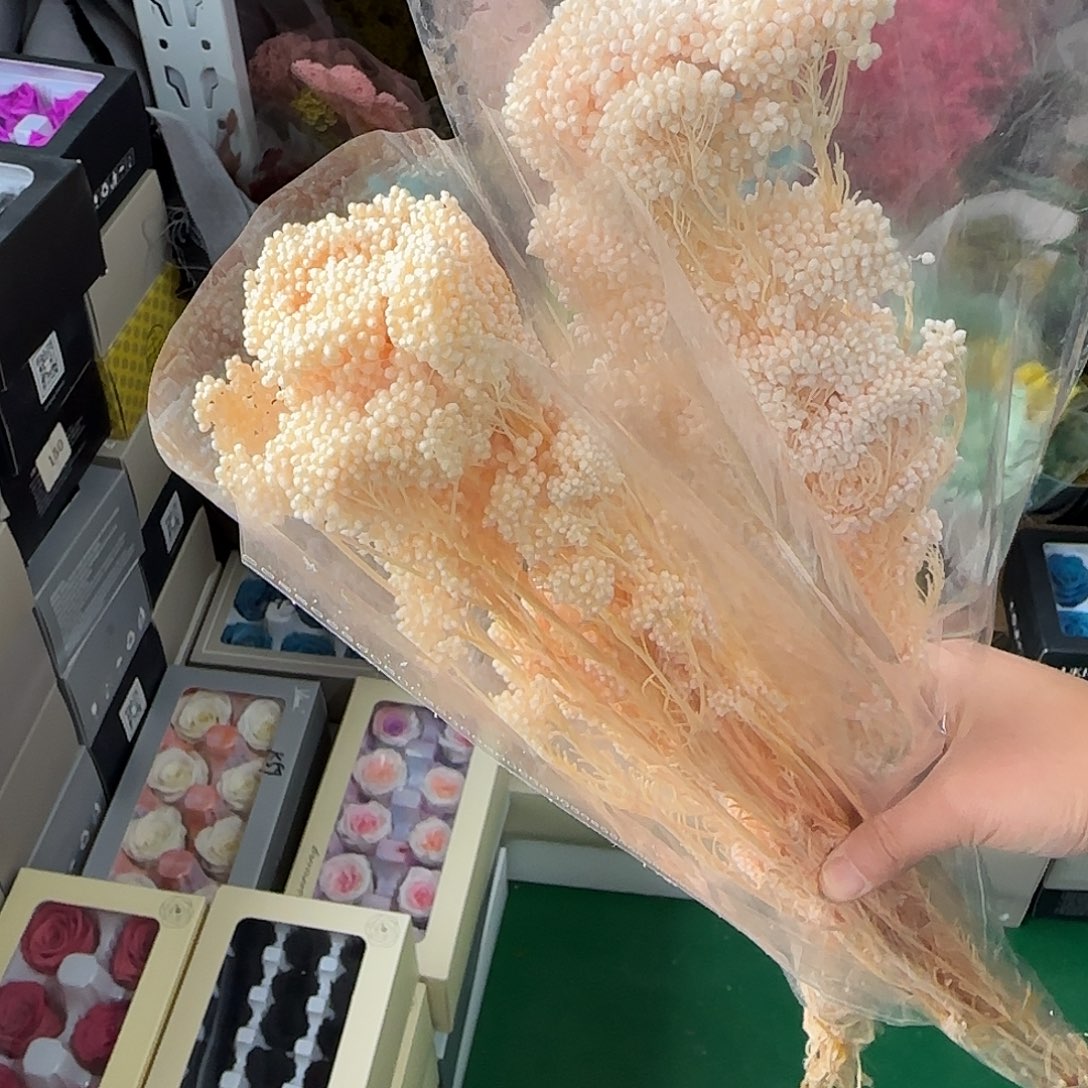 ᥫ****H108号浅色2把小米花