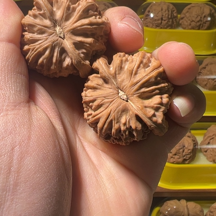 文玩核桃吊坠养****?白狮子