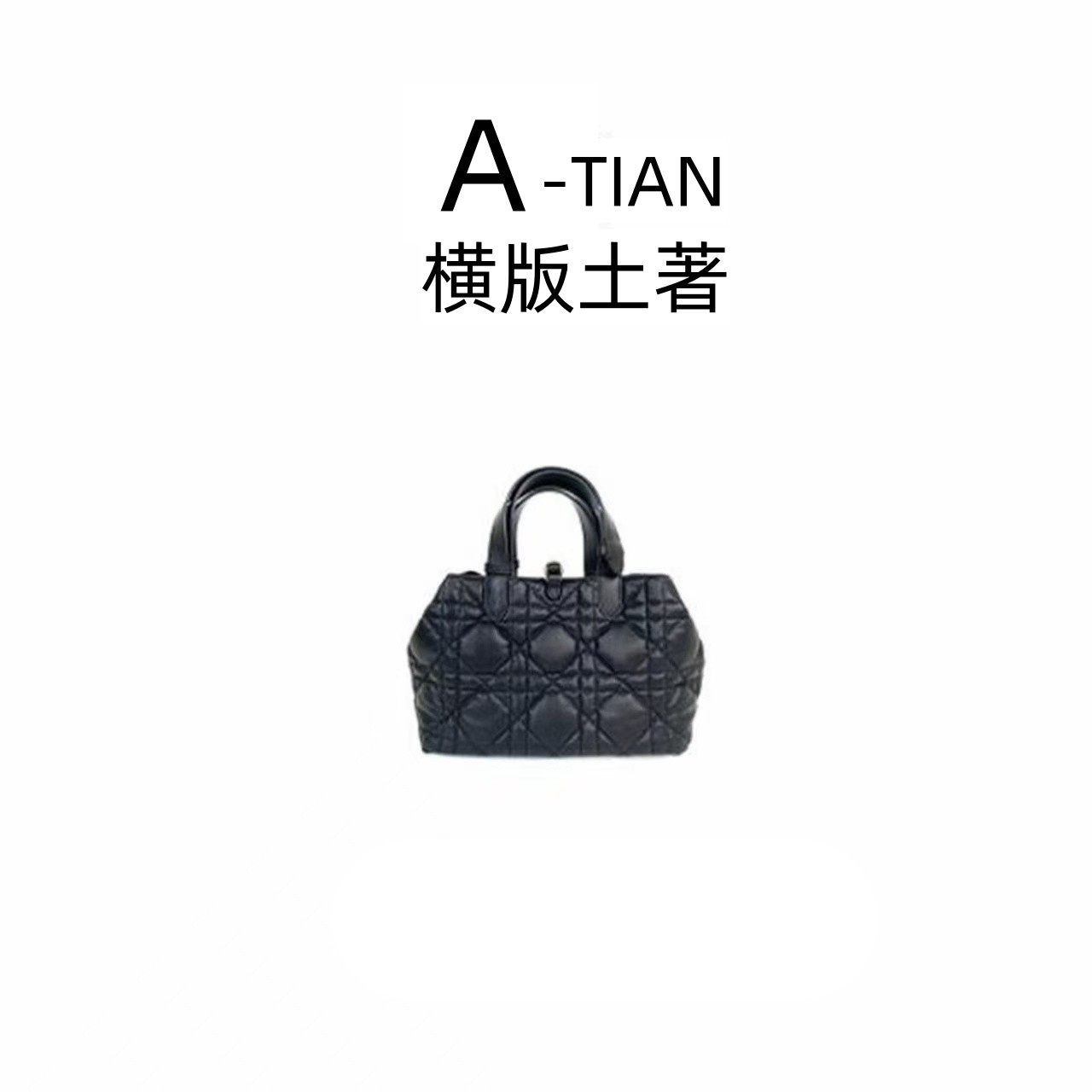 a田精选【土著】休闲包 女生轻奢手提包11