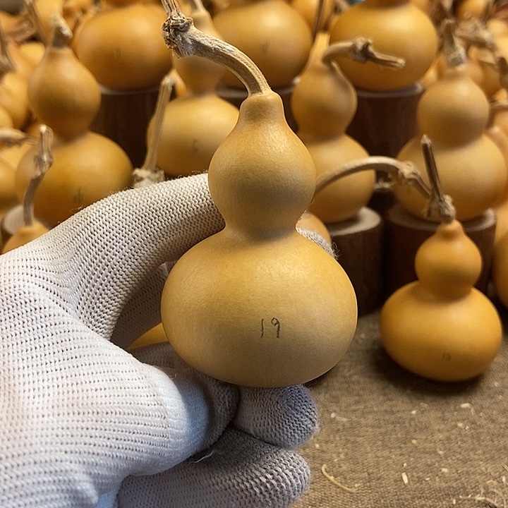 文玩葫芦 完美主义者 慎拍19