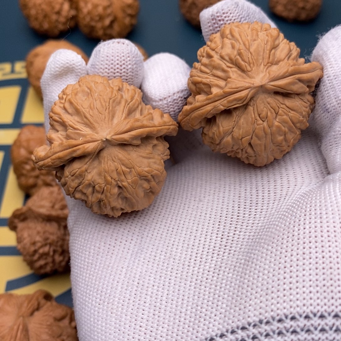 文玩核桃把件42全品白狮子