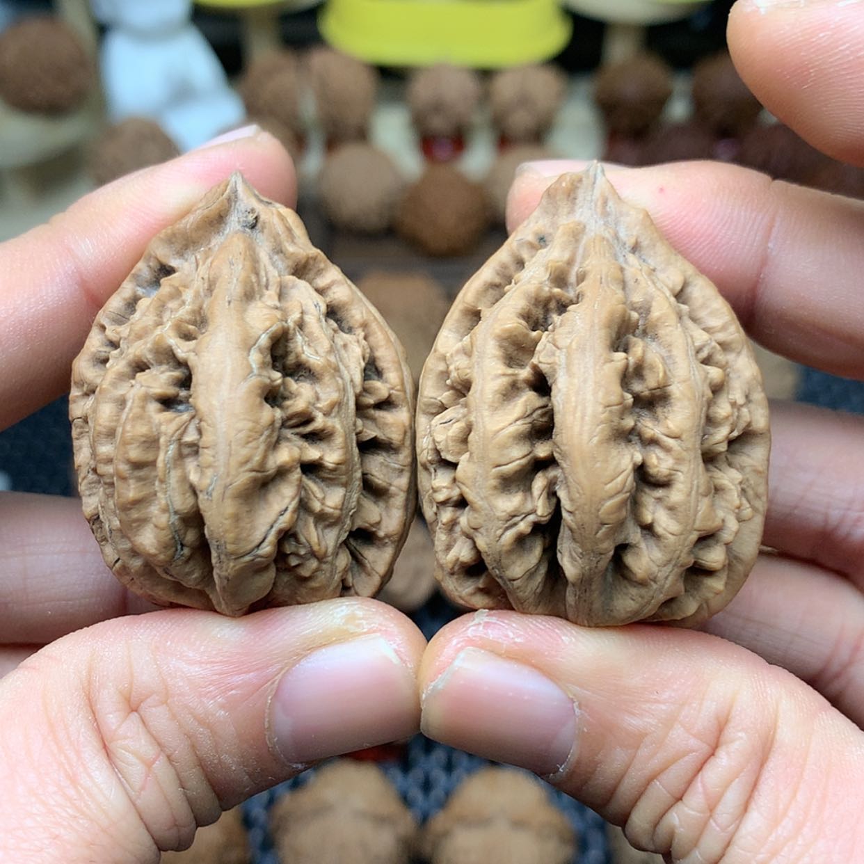 【闪购商品】文玩核桃把件全品吉林轩辕大粗筋秋子41
