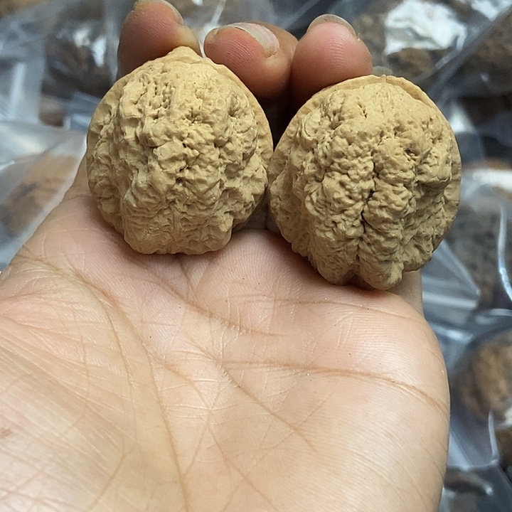 把件文玩核桃云南铁核桃基地32