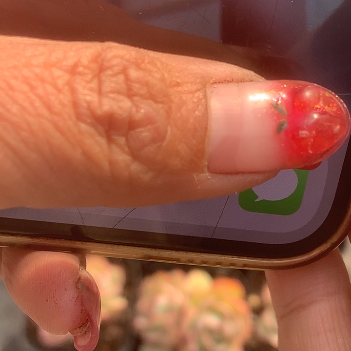 惊鸿。桃蛋双。黑橙子。乘以4