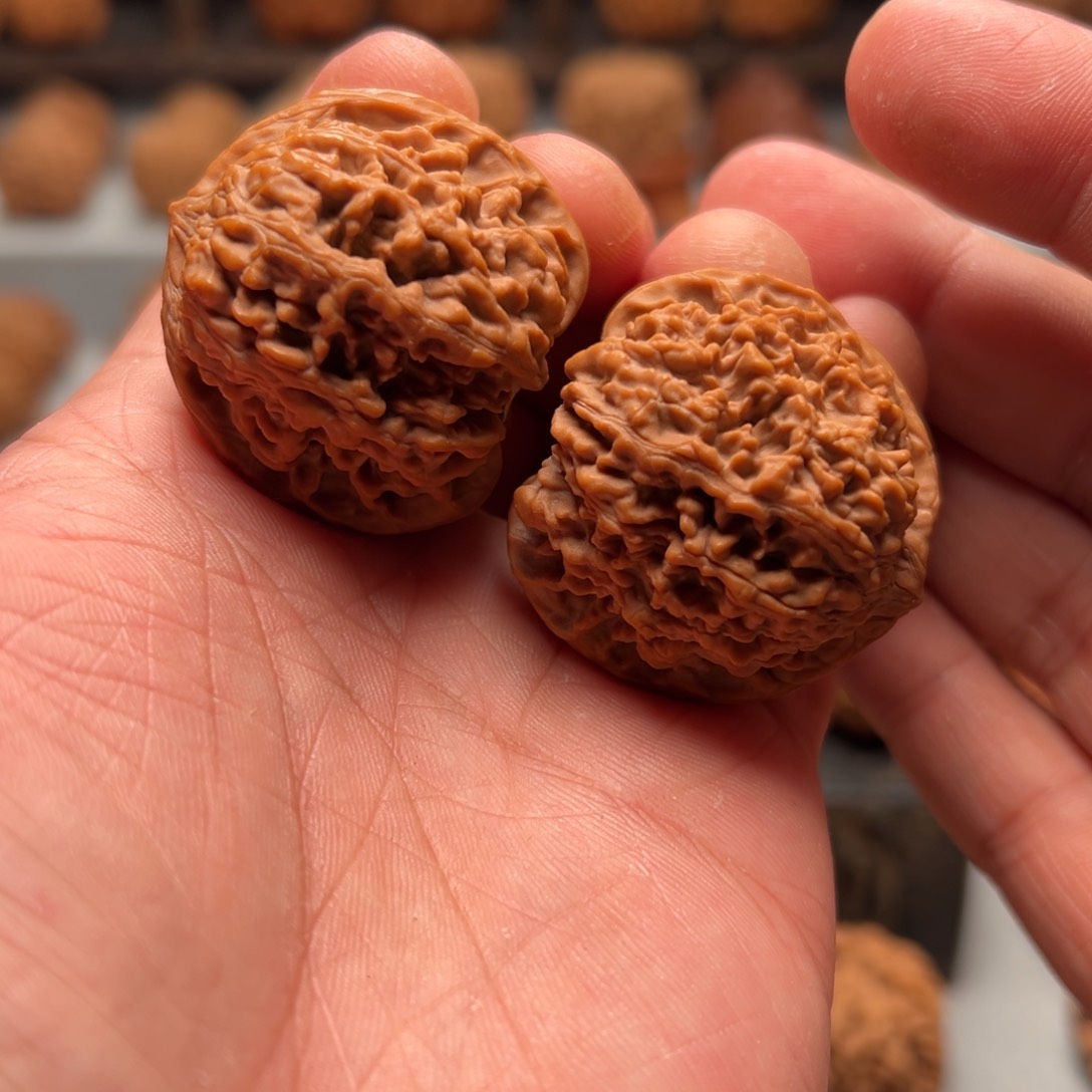 文玩核桃把件38满天星