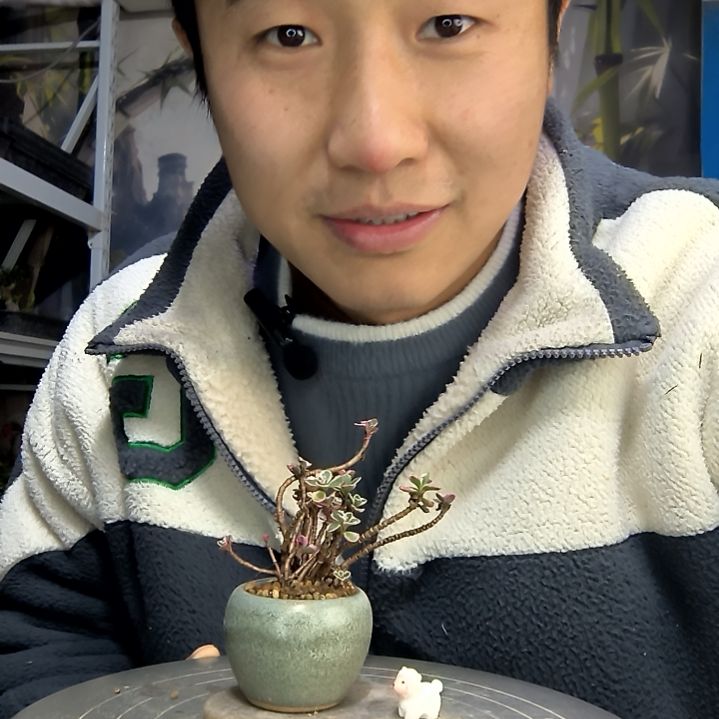 坏***惯中青园艺一物一拍花258