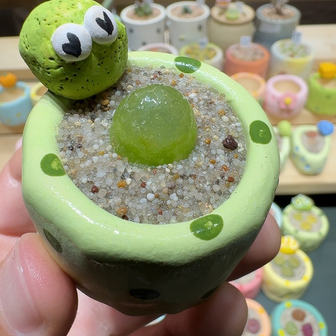 红陶蘑菇271灯泡