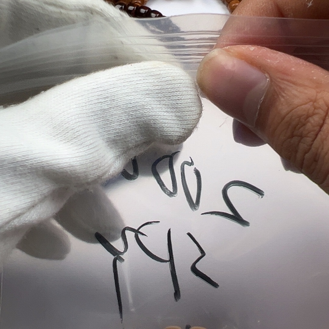 龙脊菩提吊坠可好龙脊