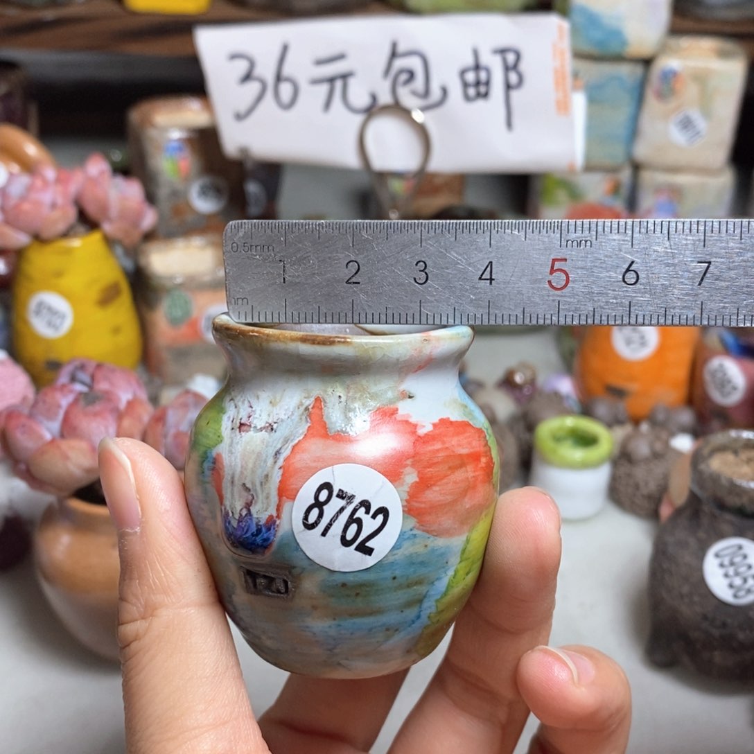 拍5送一个小礼物