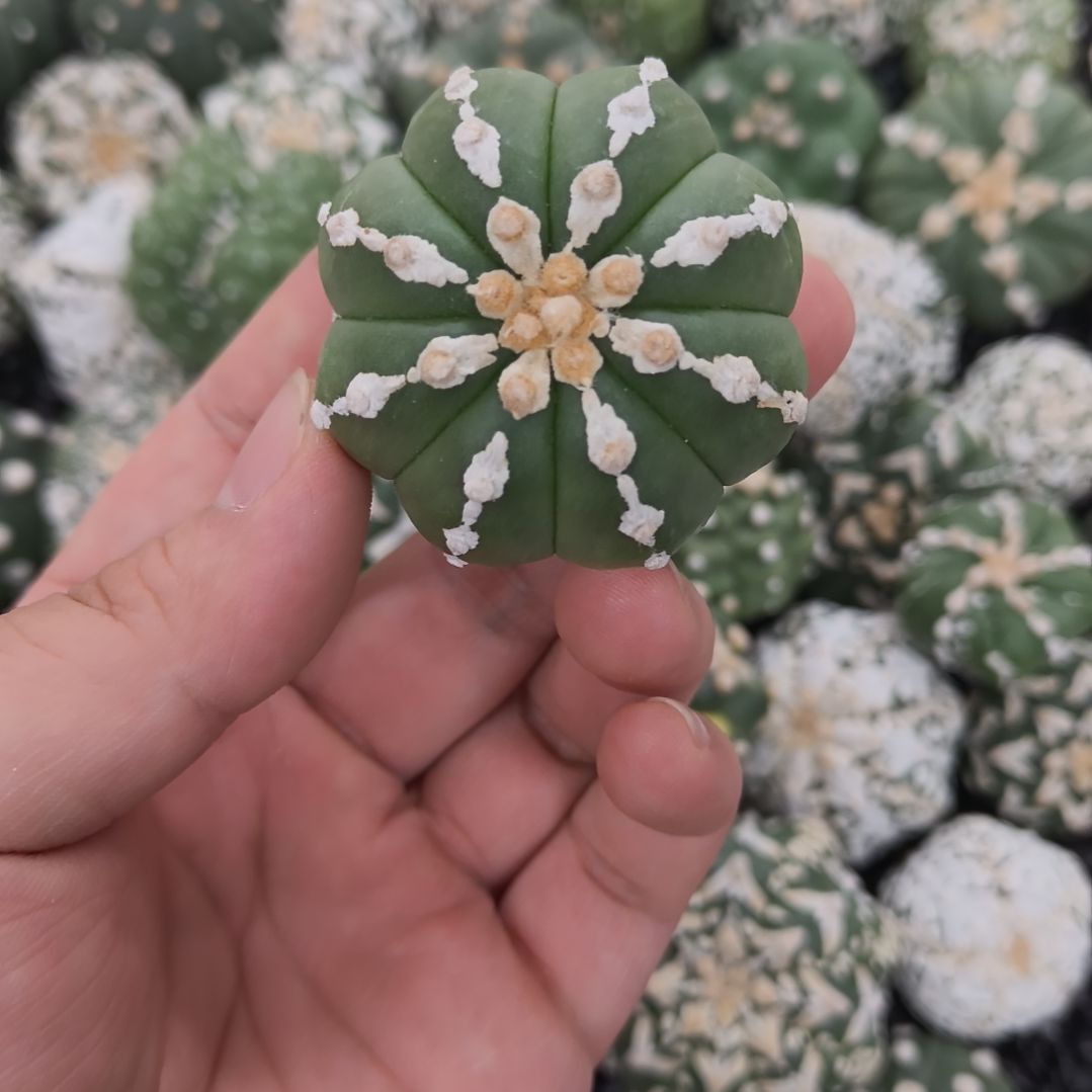 哈哈哈哈哈哈哈哈哈哈