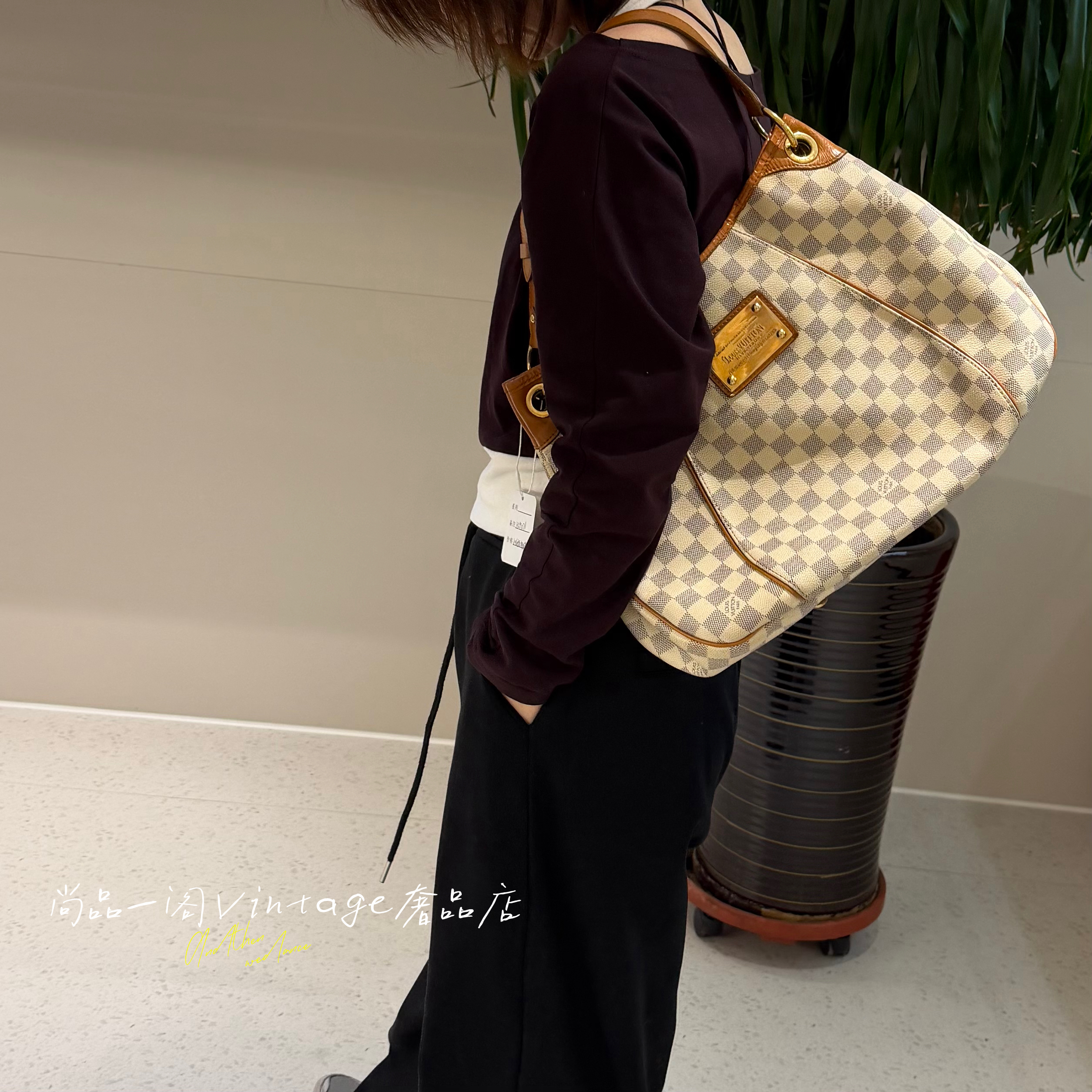 95新 LouisVuitton/路易威登 尚品一阁/白格南瓜包（护理）