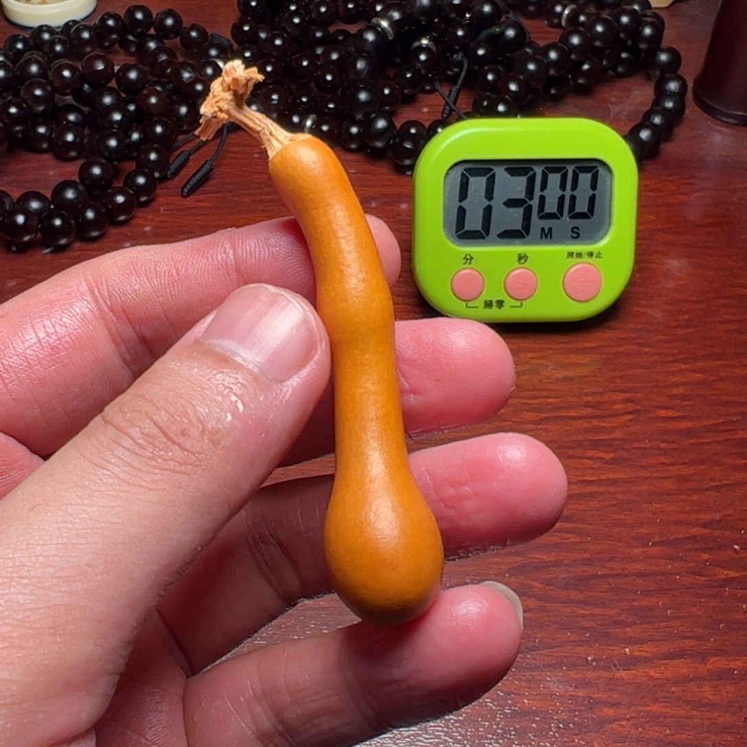 大***树中华本地手捻葫芦