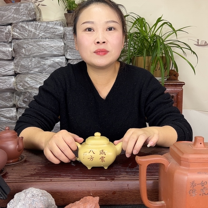 茶壶紫砂宜兴紫砂