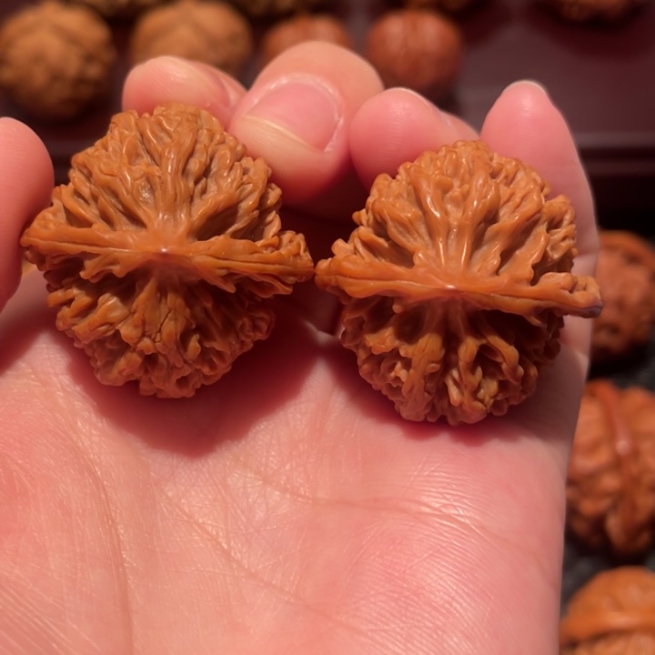 文玩核桃把件全家福皇冠王