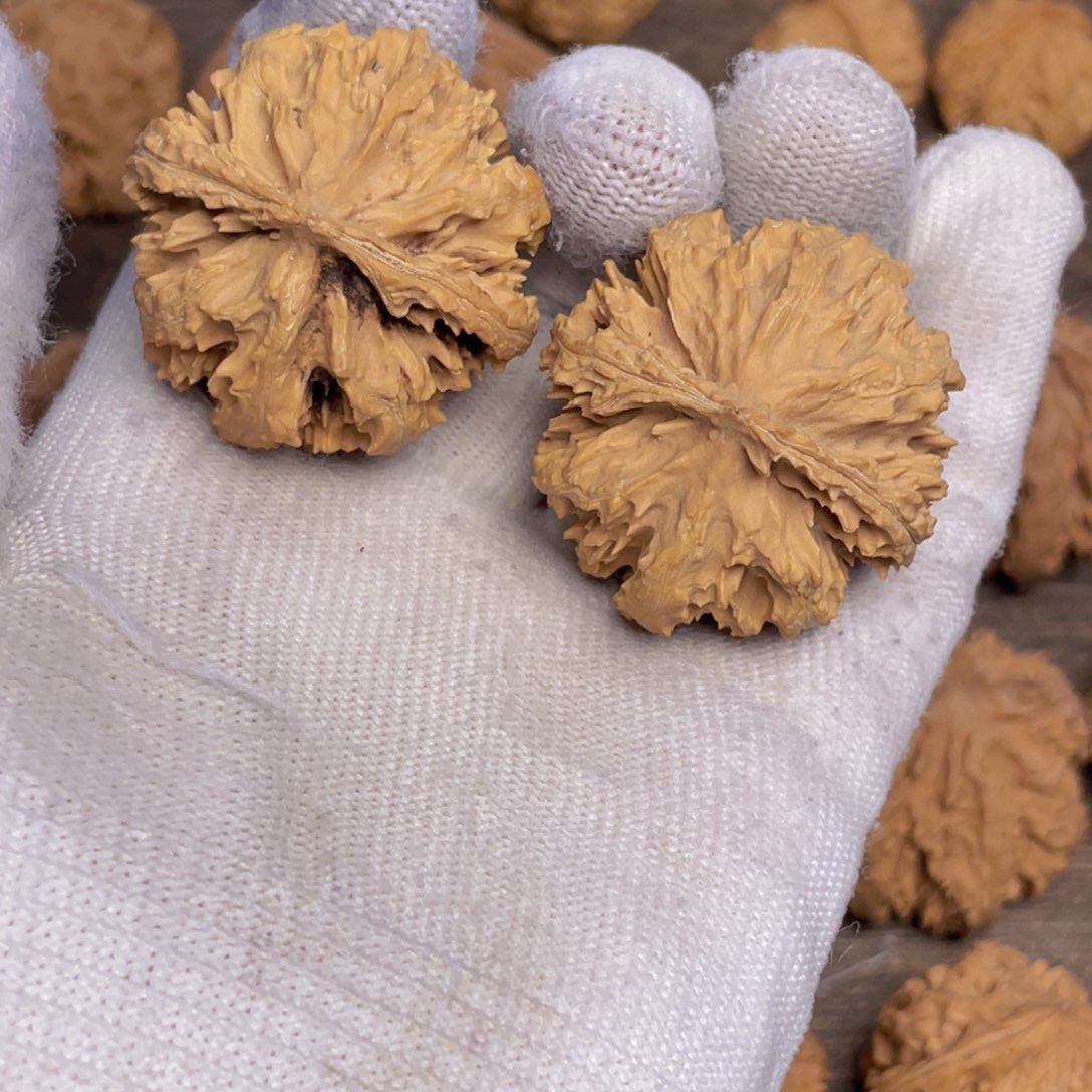 文玩核桃吊坠7 秦岭灯笼野生小众