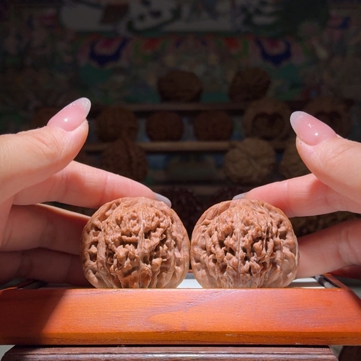 45四座楼红皮大尺寸精品