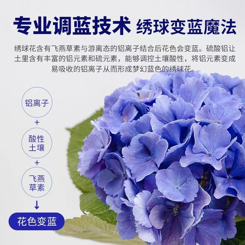 绣球调色调蓝剂花肥料正品肥缓释型肥植物盆栽酸性土壤A