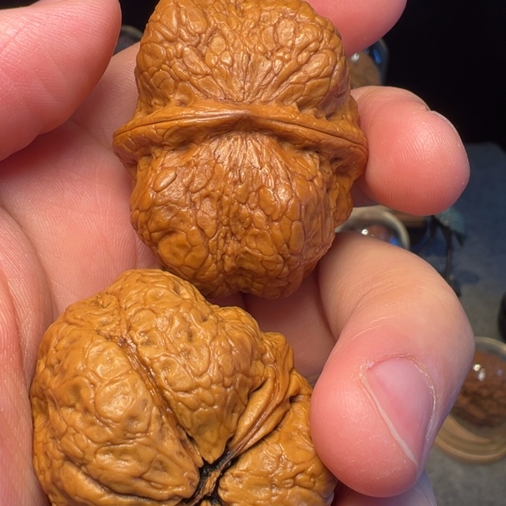 文玩核桃把件至*方樽蟾头45.5mm