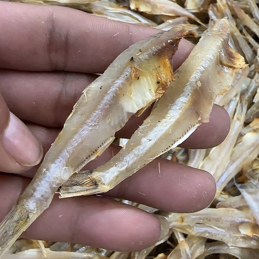 【前记精选】纯淡干白丽鱼干500