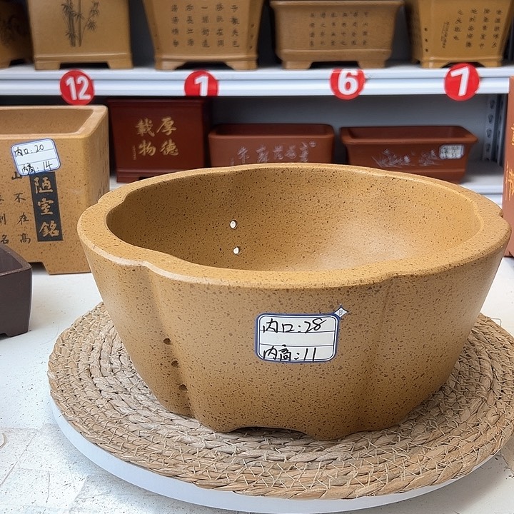 紫砂花盆蛇年大吉