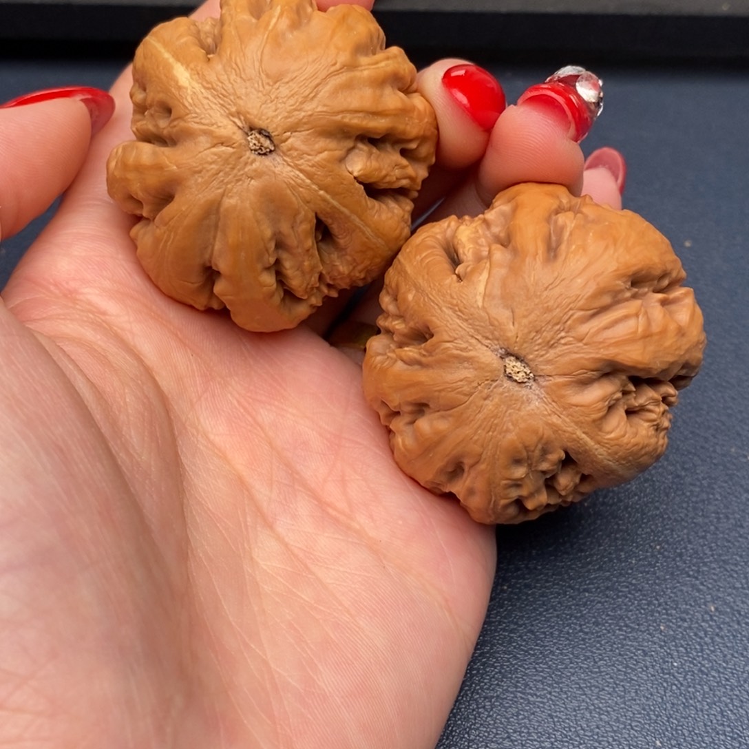 $***文玩核桃吊坠霸王龙