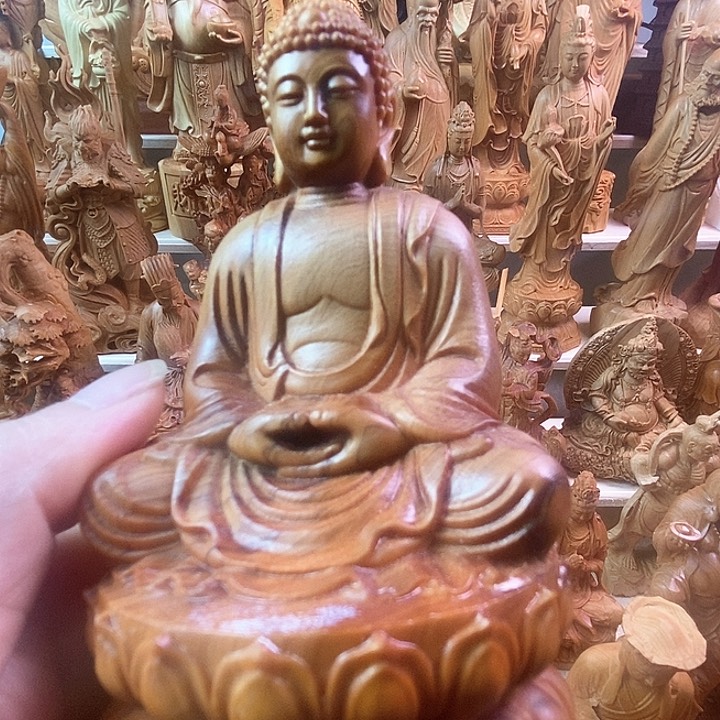 木纵**生原木原色一物一拍