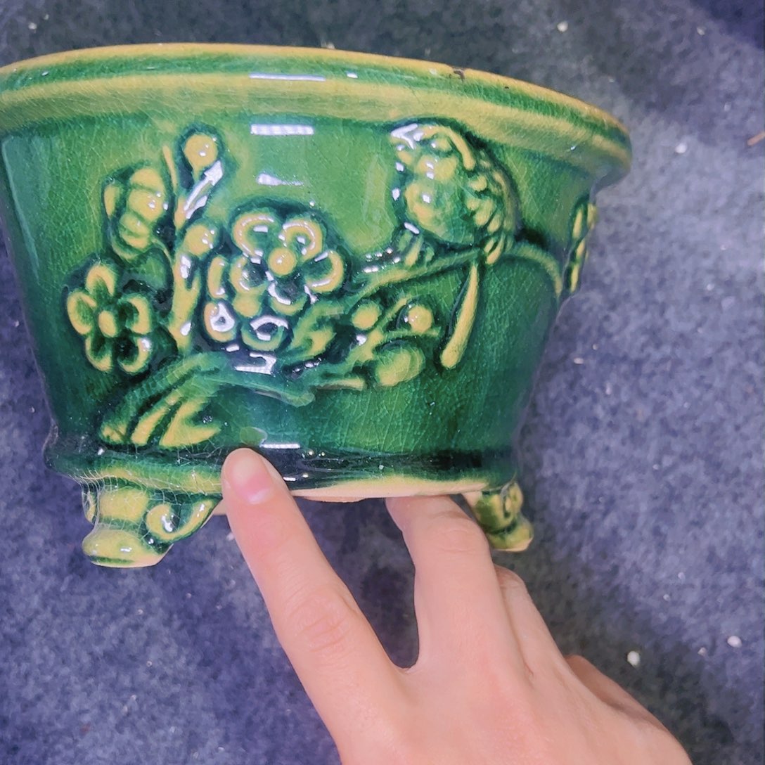 红陶今天仓播一件不留！！!