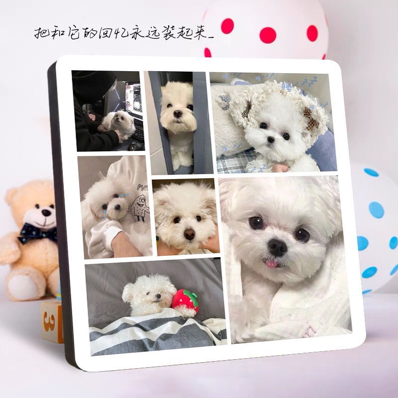 狗狗相册定制萌宠成长记录留念