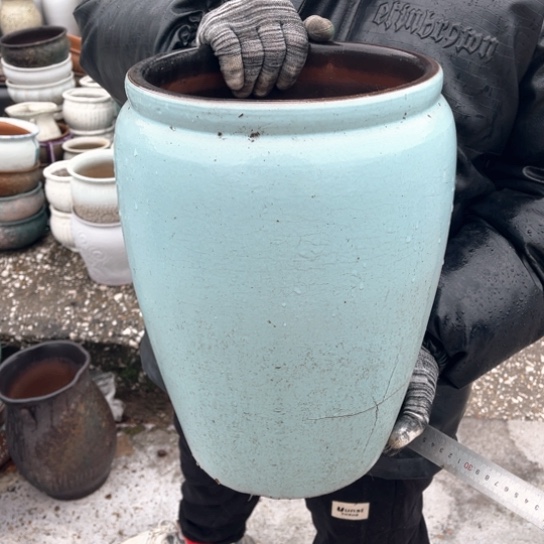 红陶口24高37正品